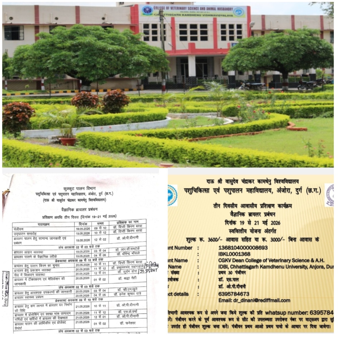कामधेनु विवि अंजोरा में ‘वैज्ञानिक ब्रायलर प्रबंधन’ पर 3 दिवसीय प्रशिक्षण 19 मई से, पंजीयन शुरू कामधेनु विवि अंजोरा में ‘वैज्ञानिक ब्रायलर प्रबंधन’ पर 3 दिवसीय प्रशिक्षण 19 मई से, पंजीयन शुरू